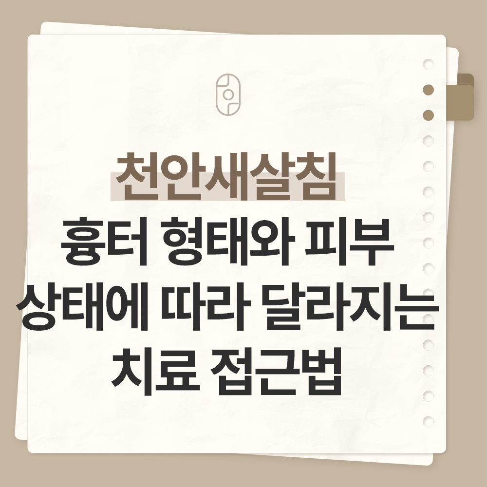 천안새살침